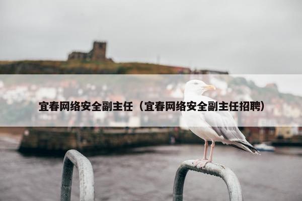 宜春网络安全副主任（宜春网络安全副主任招聘）