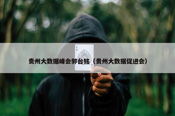 贵州大数据峰会郭台铭（贵州大数据促进会）