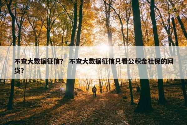 不查大数据征信？ 不查大数据征信只看公积金社保的网贷？