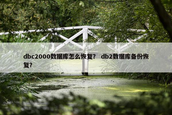 dbc2000数据库怎么恢复？ db2数据库备份恢复？