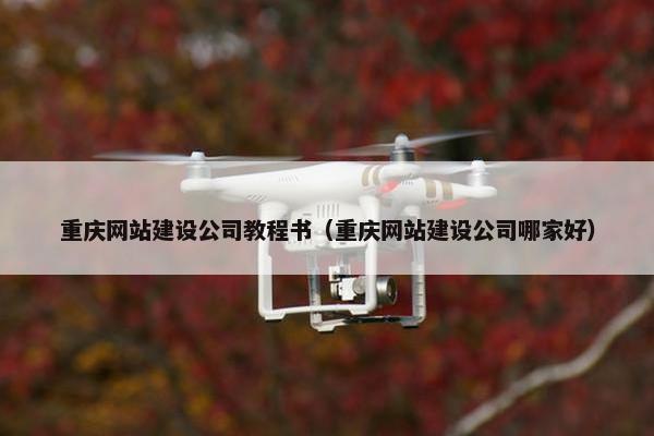重庆网站建设公司教程书（重庆网站建设公司哪家好）