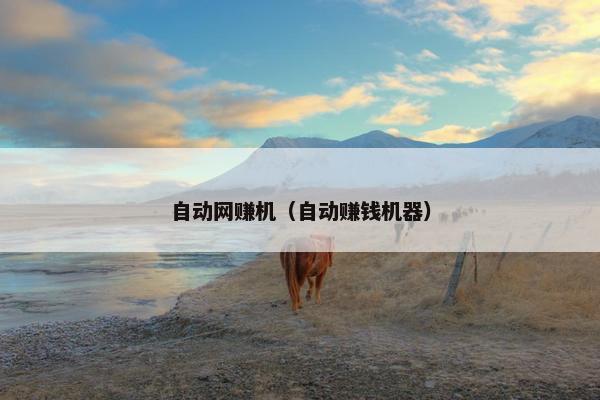 自动网赚机（自动赚钱机器）