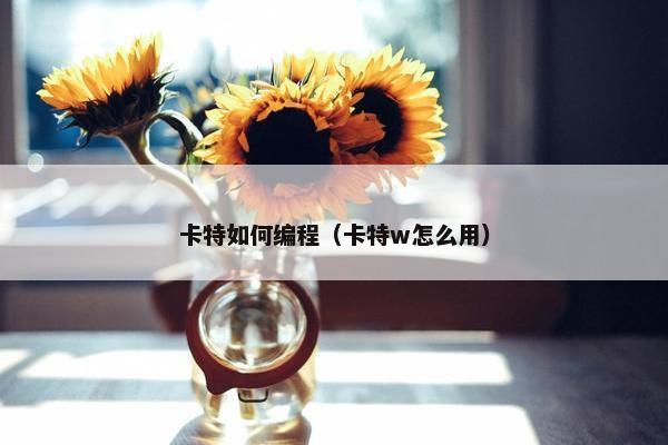 卡特如何编程（卡特w怎么用）