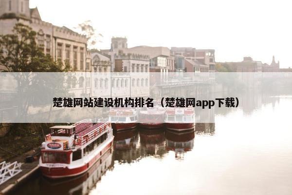 楚雄网站建设机构排名（楚雄网app下载）