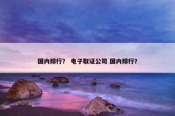 国内排行？ 电子取证公司 国内排行？