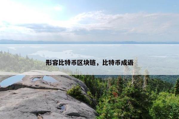 形容比特币区块链，比特币成语