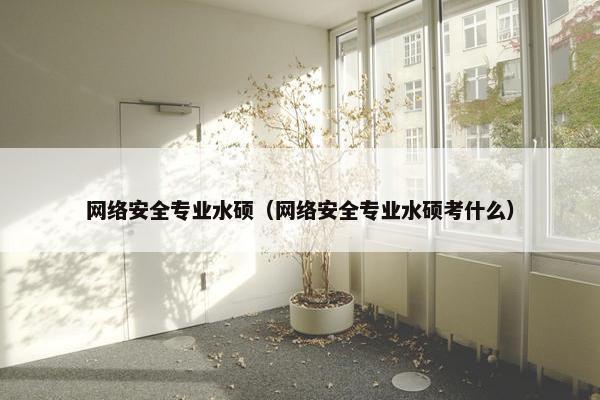 网络安全专业水硕（网络安全专业水硕考什么）
