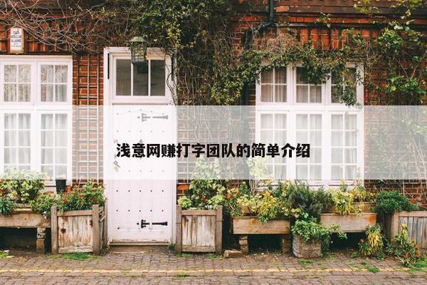 浅意网赚打字团队的简单介绍