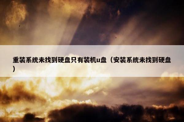 重装系统未找到硬盘只有装机u盘（安装系统未找到硬盘）