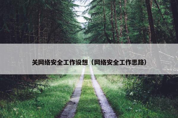关网络安全工作设想（网络安全工作思路）