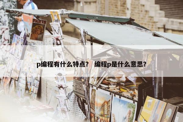 p编程有什么特点？ 编程p是什么意思？