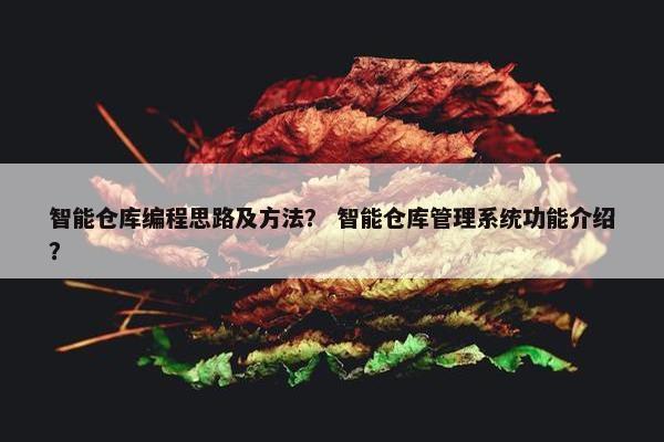 智能仓库编程思路及方法？ 智能仓库管理系统功能介绍？