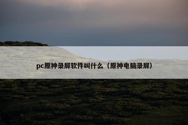 pc原神录屏软件叫什么（原神电脑录屏）