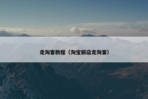 走淘客教程（淘宝新店走淘客）