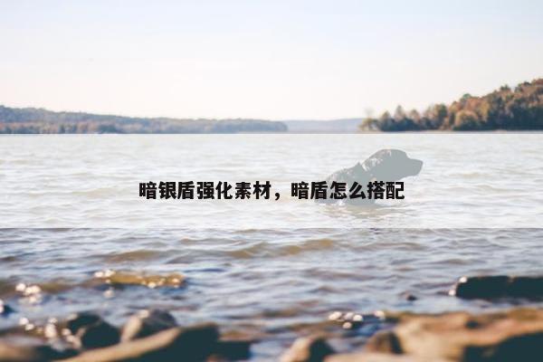 暗银盾强化素材，暗盾怎么搭配
