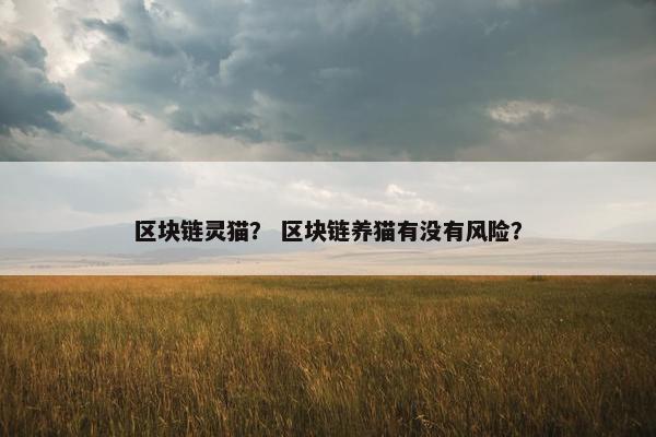 区块链灵猫？ 区块链养猫有没有风险？