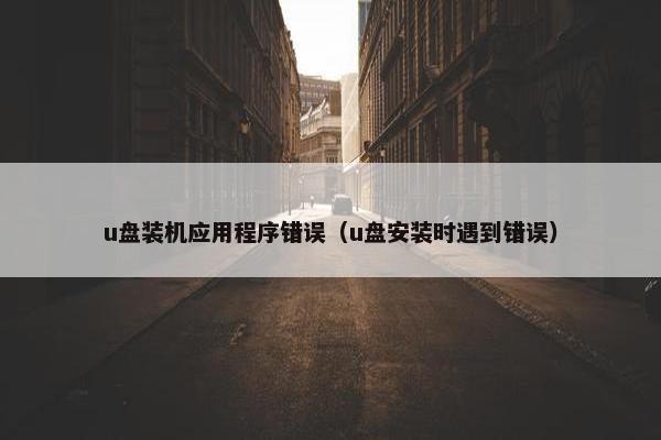 u盘装机应用程序错误（u盘安装时遇到错误）