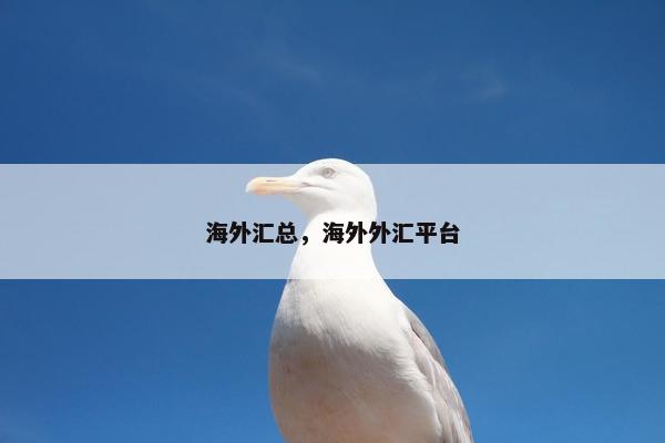 海外汇总，海外外汇平台