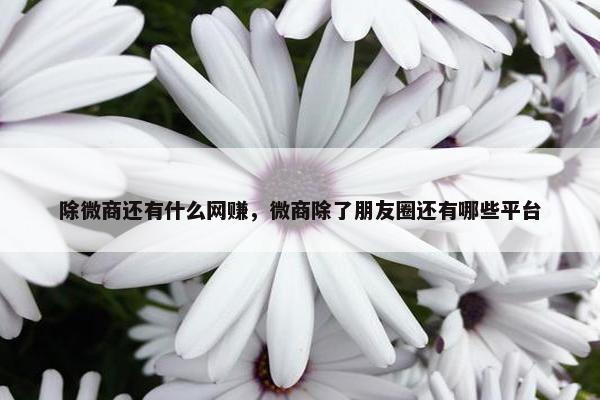除微商还有什么网赚，微商除了朋友圈还有哪些平台