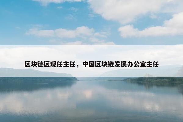 区块链区现任主任，中国区块链发展办公室主任