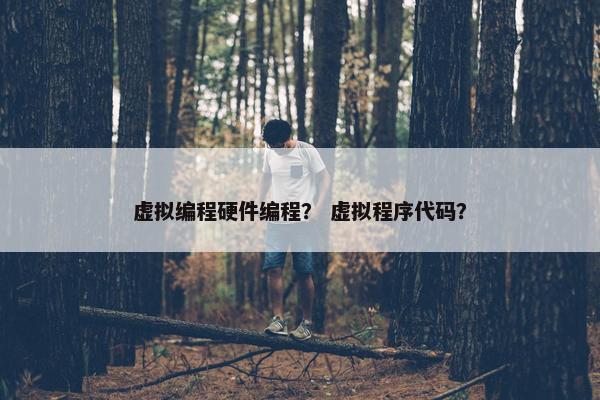 虚拟编程硬件编程？ 虚拟程序代码？