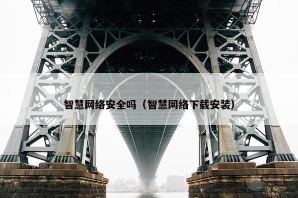 智慧网络安全吗（智慧网络下载安装）