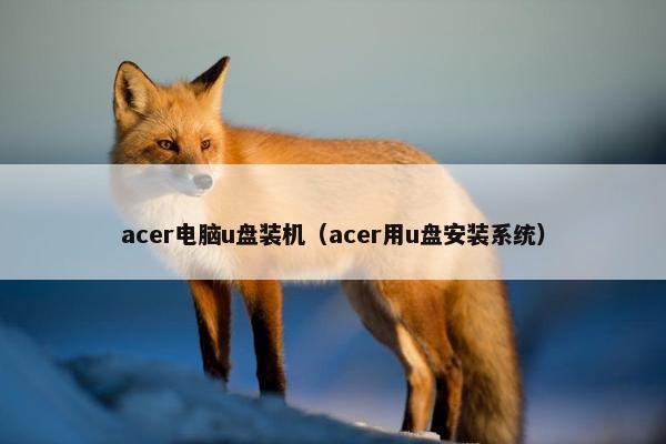 acer电脑u盘装机（acer用u盘安装系统）