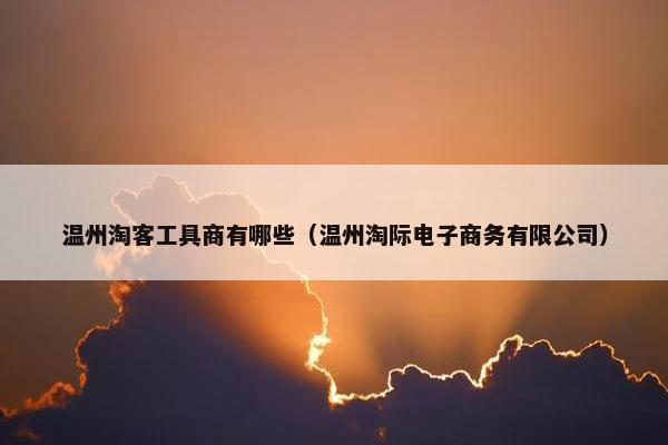 温州淘客工具商有哪些（温州淘际电子商务有限公司）