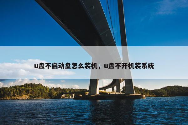u盘不启动盘怎么装机，u盘不开机装系统