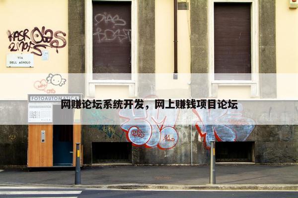 网赚论坛系统开发，网上赚钱项目论坛