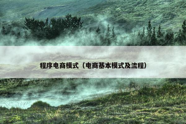 程序电商模式（电商基本模式及流程）