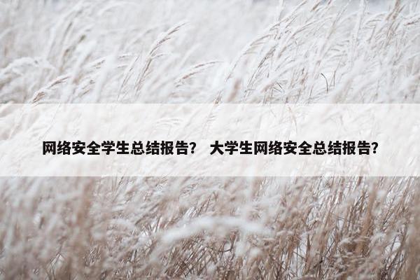 网络安全学生总结报告？ 大学生网络安全总结报告？