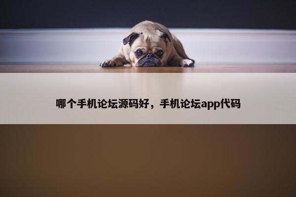 哪个手机论坛源码好，手机论坛app代码
