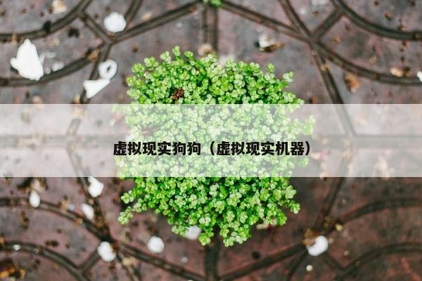 虚拟现实狗狗（虚拟现实机器）