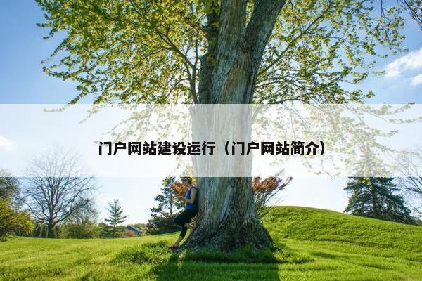 门户网站建设运行（门户网站简介）