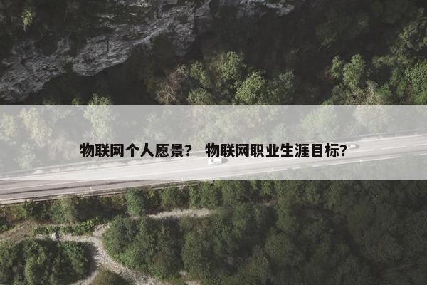 物联网个人愿景？ 物联网职业生涯目标？