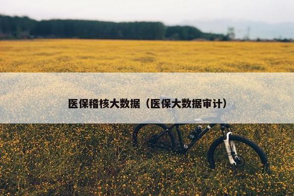 医保稽核大数据（医保大数据审计）