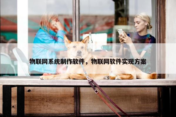 物联网系统制作软件，物联网软件实现方案