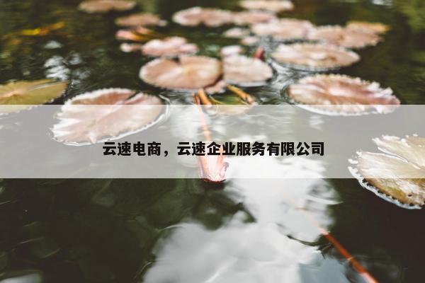 云速电商，云速企业服务有限公司
