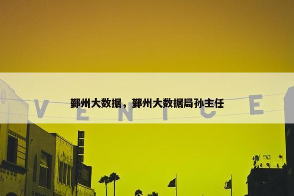 鄞州大数据，鄞州大数据局孙主任