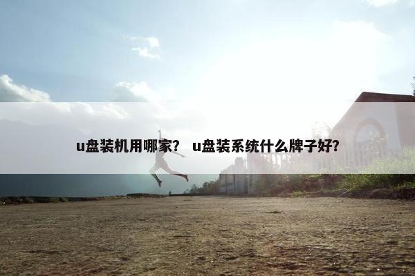 u盘装机用哪家？ u盘装系统什么牌子好？