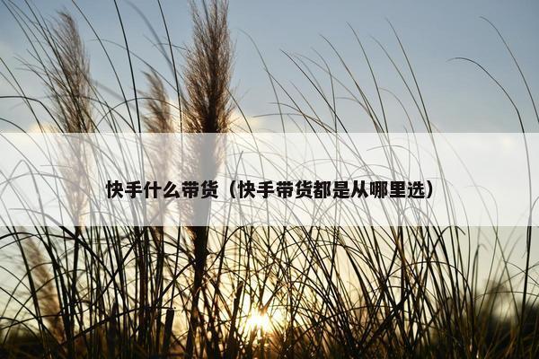 快手什么带货（快手带货都是从哪里选）