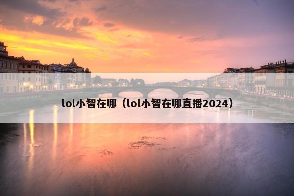 lol小智在哪（lol小智在哪直播2024）