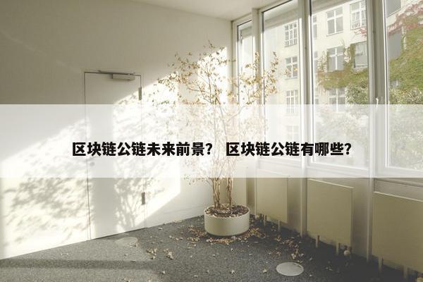 区块链公链未来前景？ 区块链公链有哪些？