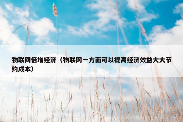 物联网倍增经济（物联网一方面可以提高经济效益大大节约成本）