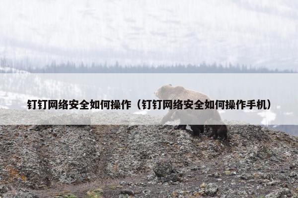 钉钉网络安全如何操作（钉钉网络安全如何操作手机）