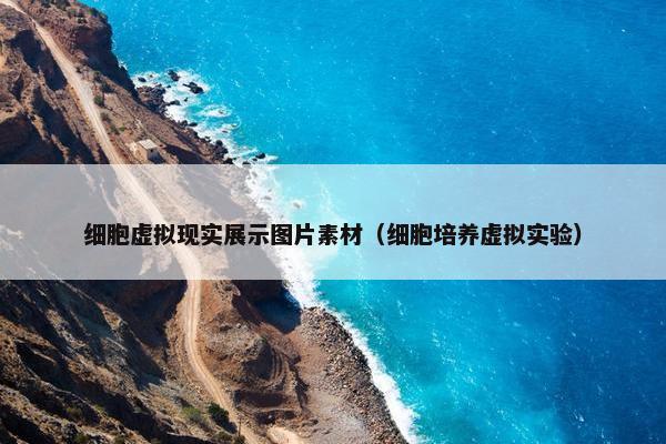 细胞虚拟现实展示图片素材（细胞培养虚拟实验）