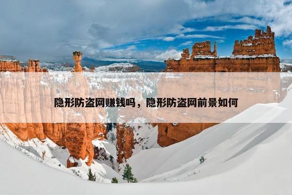 隐形防盗网赚钱吗，隐形防盗网前景如何