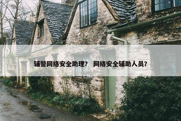 辅警网络安全助理？ 网络安全辅助人员？