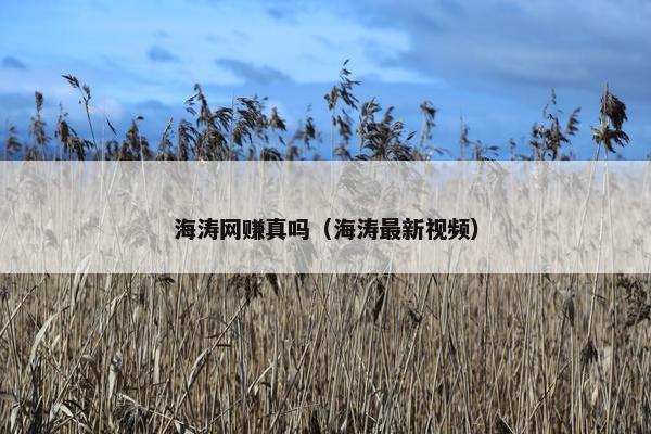 海涛网赚真吗（海涛最新视频）